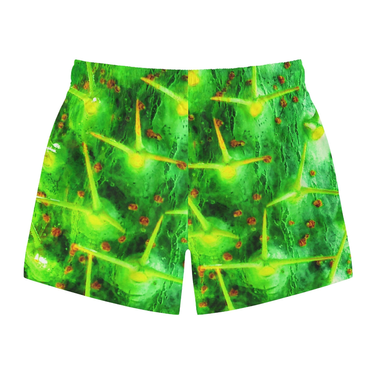 Prickly Objectification Barrier Swim Trunks